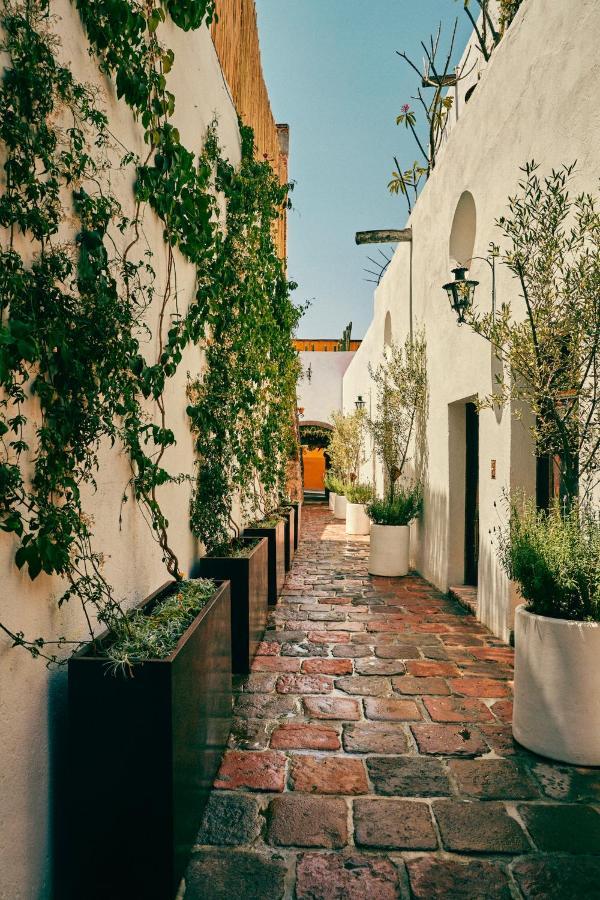 Mesón Hidalgo San Miguel de Allende Exterior foto
